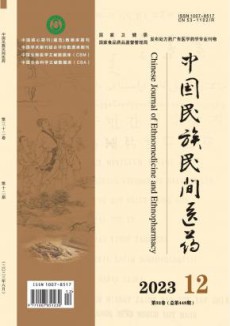中国民族民间医药